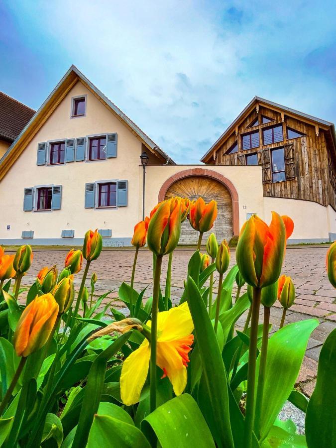 Storchenhof Teningen Extérieur photo